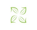 Nature leaf icon design template