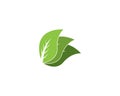 Nature leaf icon and symbol vector illustration for web app Royalty Free Stock Photo