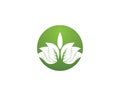 Nature leaf icon and symbol vector illustration for web app Royalty Free Stock Photo