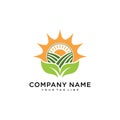 Nature Leaf Logo Template. Modern design. Vector illustration of a sun icon and logo Royalty Free Stock Photo