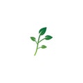 Nature leaf vector icon Royalty Free Stock Photo