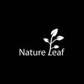 Nature leaf vector template Royalty Free Stock Photo