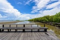 Nature learning path, made from wooden, and walk through Ceriops tagal forest Royalty Free Stock Photo