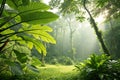 Nature Leaves, Green Tropical Forest, Background Illustration Concept Royalty Free Stock Photo