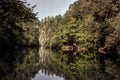 Jabal Moussa reserve Lebanon river inside the highest mountains Royalty Free Stock Photo