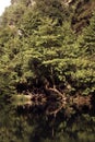 Jabal Moussa reserve Lebanon river inside the highest mountains Royalty Free Stock Photo