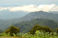 The nature of light and morning mist in rainforest. Royalty Free Stock Photo