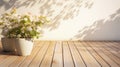 nature light wooden outdoor sun