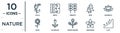 nature linear icon set. includes thin line calla, pinnate, magnolia, gladiolus, narcissus, cliff, daisy icons for report,