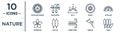 nature linear icon set. includes thin line chrysanthemum, hills, acicular, poplar, freesia, reed, hypericum icons for report,
