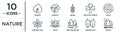 nature linear icon set. includes thin line cordate, grains, solar, asian, pedunculate, woods, chestnut leaf icons for report, Royalty Free Stock Photo