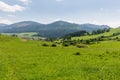 Nature in Liptov region, Slovakia in summer 2015 Royalty Free Stock Photo