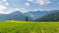 Nature in Liptov region, Slovakia in summer 2015 Royalty Free Stock Photo