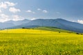 Nature in Liptov region, Slovakia in summer 2015 Royalty Free Stock Photo