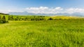 Nature in Liptov region, Slovakia in summer 2015 Royalty Free Stock Photo