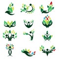 Leaf nature logos icon design Royalty Free Stock Photo