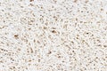 Nature loofah texture or background Royalty Free Stock Photo