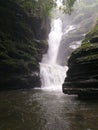 Nature love beautiful falls at middle of forest