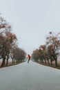 Nature lover walks through a willow alley during autumn days. A gateway to untouched nature. A man walks along a road. Joy of