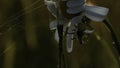 Nature in macro photography.Creative.A small daisy on which a small centipede is hanging and sticks next to it.