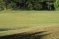 Nature with magic sunrays, sunshine, light and green grass, meadow. Photo use in idea design for golf, fresh environment part 19 Royalty Free Stock Photo