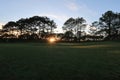 Nature with magic sunrays, sunshine, light and green grass, meadow. Photo use in idea design for golf, fresh environment part 25 Royalty Free Stock Photo