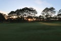 Nature with magic sunrays, sunshine, light and green grass, meadow. Photo use in idea design for golf, fresh environment part 28 Royalty Free Stock Photo