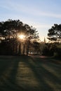 Nature with magic sunrays, sunshine, light and green grass, meadow. Photo use in idea design for golf, fresh environment part 45 Royalty Free Stock Photo