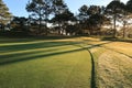 Nature with magic sunrays, sunshine, light and green grass, meadow. Photo use in idea design for golf, fresh environment part 55 Royalty Free Stock Photo