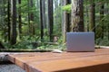 Nature meets technology for the workaholics; a laptop and a mouse on a picnic table in a campground in Vancouver Island, in the