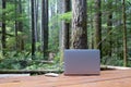 Nature meets technology for the workaholics; a laptop and a mouse on a picnic table in a campground in Vancouver Island, in the