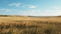 nature midwest tallgrass prairie