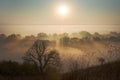 Nature, mist and sunlight Royalty Free Stock Photo