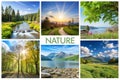 Nature Montage with Space for Text Royalty Free Stock Photo