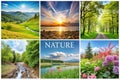 Nature Montage with Space for Text Royalty Free Stock Photo