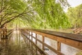 Nature at morrison springs florida