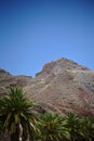 Nature, mountains, islands, stones and bushes, palms, plants under the scorching sun, red mountain, Teide national park, Spain,