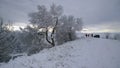 Nature mountains winter caucausus beauty high