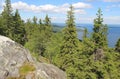 Nature of national park Koli Royalty Free Stock Photo