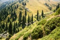 Nature near Big Almaty Lake, Tien Shan Mountains in Almaty, Kazakhstan Royalty Free Stock Photo