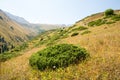 Nature near Big Almaty Lake, Tien Shan Mountains in Almaty, Kazakhstan