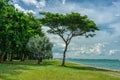 Nature near at Marina South promenade