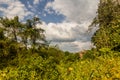 Nature near Muang Ngoi Neua village, Lao Royalty Free Stock Photo