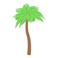 Nature palm tree icon, isometric style Royalty Free Stock Photo