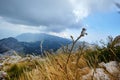 Nature Park Biokovo on Dalmatian coast Royalty Free Stock Photo