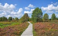 Nature Park,High Venn,Monschau,Eifel