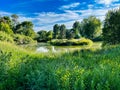 Early Summer at the Fishing Pond, Nature Park in Rexburg Idaho. Royalty Free Stock Photo