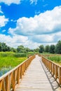 Nature park Kopacki Rit, region of Baranja, Croatia Royalty Free Stock Photo