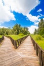 Nature park Kopacki Rit, region of Baranja, Croatia Royalty Free Stock Photo