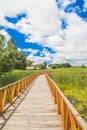 Nature park Kopacki Rit, region of Baranja, Croatia Royalty Free Stock Photo